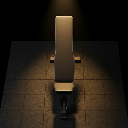 Bench — Top Down